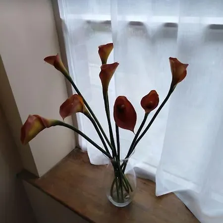 Upside Down In Settle. Stylish, And Cosy *